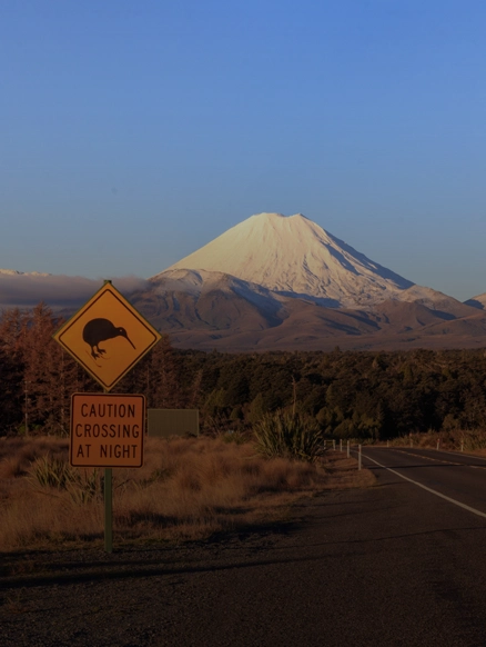 The Volcano Route, New Zealand